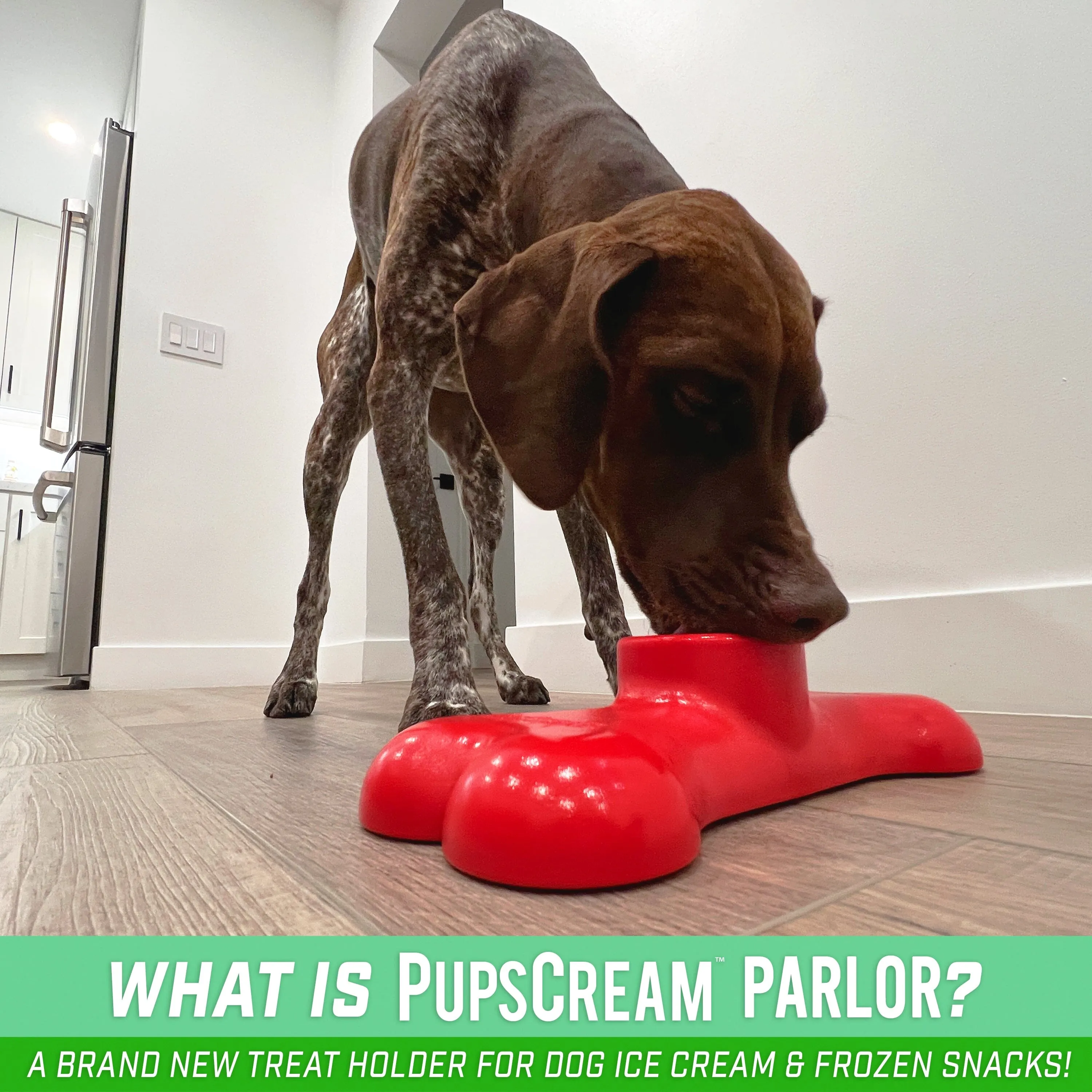 GoSports Pets PupsCream Parlor - Non-Slip Ice Cream & Frozen Dog Treat Holder